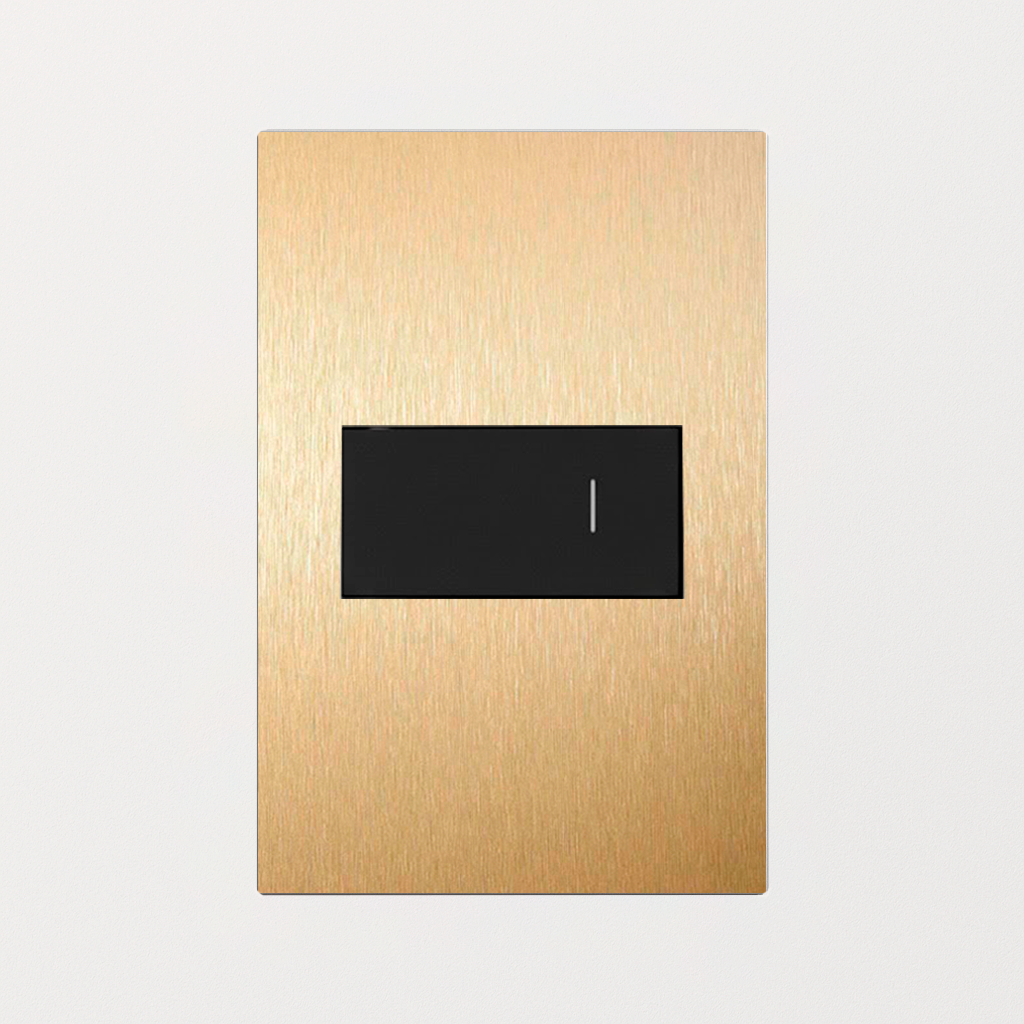 Interruptor Latão 4x2 10A (1 Módulo)